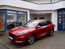 Lucidrot metallic Gebraucht 2024 Ford Kuga ST-Line SUV | 26.900 € (Guter Preis)