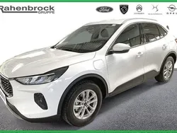 Frozen white Neu 2025 Ford Kuga Titanium SUV | 37.990 € (Superpreis)