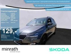 Grau Gebraucht 2021 Skoda Fabia Best of Kleinwagen | 16.869 € (Guter Preis)