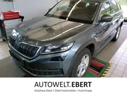 Grau Gebraucht 2021 Skoda Kodiaq SUV | 27.890 € (Fairer Preis)
