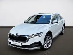 Weiss Gebraucht 2022 Skoda Octavia Kombi | 28.890 € (Guter Preis)