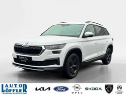 Moonweiß Gebraucht 2023 Skoda Kodiaq Tour SUV | 45.290 €