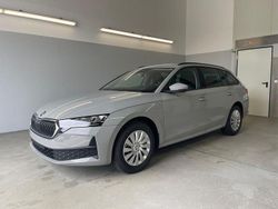 [m3m3] stahl grau Neu 2025 Skoda Octavia Essence Kombi | 30.330 € (Guter Preis)
