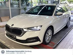 Candyweiss Gebraucht 2023 Skoda Octavia Ambition Kombi | 26.850 € (Guter Preis)