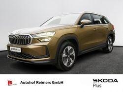 Gold Gebraucht 2025 Skoda Kodiaq Selection SUV | 46.890 € (Guter Preis)