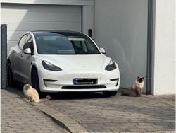 Weiß Gebraucht 2021 Tesla Model 3 Limousine | 22.000 € (Superpreis)