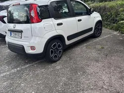 Weiß Gebraucht 2021 Fiat Panda Kleinwagen | 10.000 € (Fairer Preis)