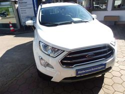 Frostweiß Gebraucht 2022 Ford Ecosport Titanium SUV | 18.900 € (Fairer Preis)