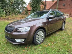 Braun Gebraucht 2016 Skoda Octavia Ambition Kombi | 9.500 € (Superpreis)