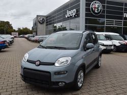 Grau Gebraucht 2023 Fiat Panda Kleinwagen | 15.890 € (Teuer)