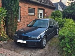 Blau Gebraucht 2002 BMW 316 Limousine | 4.000 € (Fairer Preis)