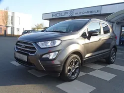 Grau Gebraucht 2019 Ford Ecosport SUV | 11.990 € (Fairer Preis)