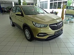 Champagner Gebraucht 2018 Opel Grandland X Selection SUV | 13.800 € (Etwas zu teuer)