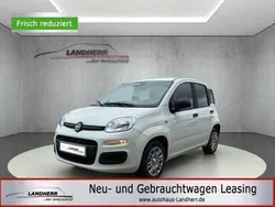 Weiss Neu 2025 Fiat Panda Kleinwagen | 12.995 € (Guter Preis)