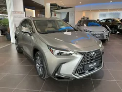 Gruen Neu 2025 Lexus NX450h+ E-FOUR Executive Line SUV | 67.900 € (Etwas zu teuer)