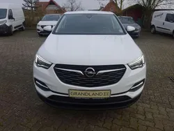Jade weiss/arktis weiss Gebraucht 2019 Opel Grandland X Edition SUV | 16.450 € (Fairer Preis)