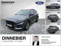 Grau (metallic) Gebraucht 2024 Ford Kuga ST-Line X SUV | 26.370 € (Guter Preis)