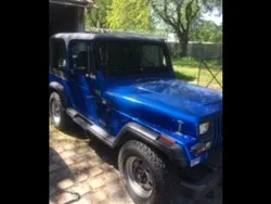 Blau Gebraucht 1993 Jeep Wrangler SUV | 13.300 €