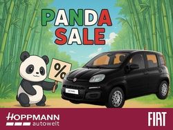 Cinema schwarz Neu 2025 Fiat Panda Icon Kleinwagen | 14.980 € (Fairer Preis)