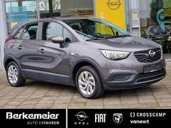 Grau Gebraucht 2019 Opel Crossland Edition SUV | 14.925 € (Etwas zu teuer)
