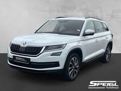 Weiß Gebraucht 2020 Skoda Kodiaq Drive SUV | 24.490 € (Fairer Preis)