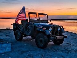 Grün Gebraucht 1970 Jeep Willys SUV | 15.000 €