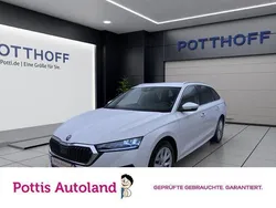 Weiß Gebraucht 2023 Skoda Octavia Style Kombi | 21.221 € (Guter Preis)