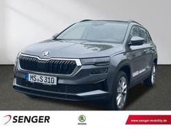 Grau Gebraucht 2025 Skoda Karoq Drive SUV | 37.490 € (Fairer Preis)