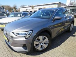 Taifungrau metallic Gebraucht 2020 Audi e-tron Basis SUV | 30.990 € (Fairer Preis)