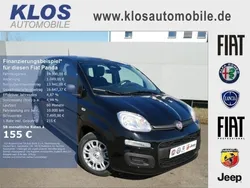 Schwarz Neu 2025 Fiat Panda Kleinwagen | 14.990 €