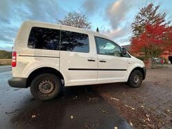 Candyweiss Gebraucht 2012 VW Caddy Van / Kleinbus | 3.990 € (Superpreis)