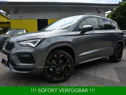 Graphite grau metallic Neu 2025 Cupra Ateca SUV | 37.800 € (Guter Preis)