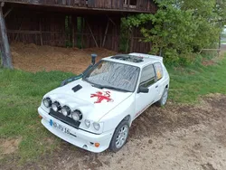 Weiß Gebraucht 1989 Peugeot 205 GTi Kleinwagen | 6.500 €