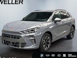 Grau Neu 2025 Cupra Terramar SUV | 40.990 € (Etwas zu teuer)
