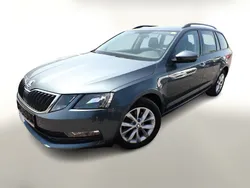 Grau Gebraucht 2019 Skoda Octavia Ambition Kombi | 14.988 € (Fairer Preis)