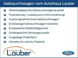 Grau Gebraucht 2024 Ford Puma ST-Line X SUV | 28.490 € (Fairer Preis)