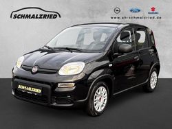 Gebraucht 2023 Fiat Panda Kleinwagen | 11.470 € (Fairer Preis)