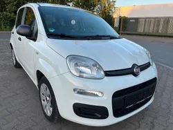 Weiß Gebraucht 2014 Fiat Panda Kleinwagen | 2.999 € (Fairer Preis)