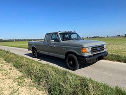 Grau Gebraucht 1990 Ford F-150 Lariat Abholung | 10.799 €