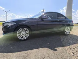 Blau Gebraucht 2014 BMW 220 Coupé | 12.500 € (Guter Preis)