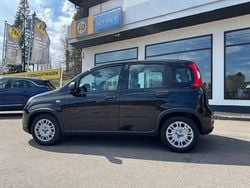 Schwarz Neu 2025 Fiat Panda Kleinwagen | 14.990 € (Fairer Preis)