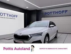 Weiß Gebraucht 2023 Skoda Octavia Style Kombi | 20.997 € (Guter Preis)