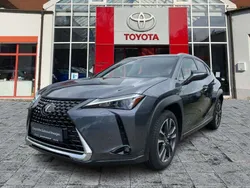 Sonic grey Gebraucht 2023 Lexus UX 250h SUV | 29.900 € (Fairer Preis)