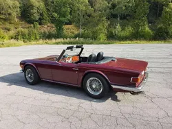 Rot Gebraucht 1969 Triumph TR6 Cabrio | 26.500 €