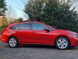 Rot Gebraucht 2021 VW Golf VIII Life Kombi | 18.500 € (Fairer Preis)