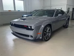 Grau Gebraucht 2023 Dodge Challenger Coupé | 38.991 € (Fairer Preis)