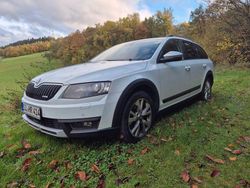 Weiß Gebraucht 2016 Skoda Octavia Kombi | 11.000 € (Fairer Preis)