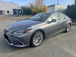 Grau Gebraucht 2018 Lexus ES300H Luxury Line Limousine | 32.000 €