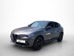 Grau Gebraucht 2022 Alfa Romeo Stelvio Quadrifoglio SUV | 59.990 € (Teuer)