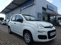Weiß Gebraucht 2020 Fiat Panda Easy Kleinwagen | 9.290 € (Fairer Preis)